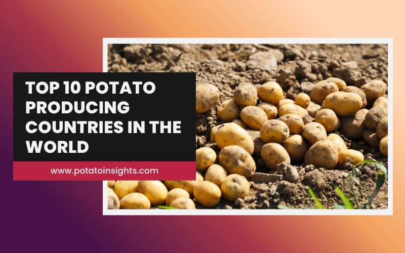 Top 10 Potato Producing Countries in the World