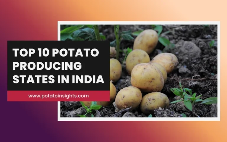 Top 10 Potato Producing States in India