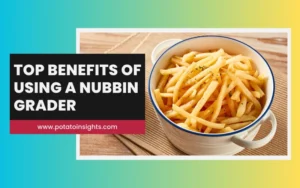Top Benefits of Using a Nubbin Grader for Potatoes French Fries