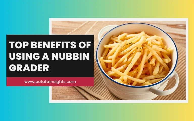 Top Benefits of Using a Nubbin Grader for Potatoes French Fries