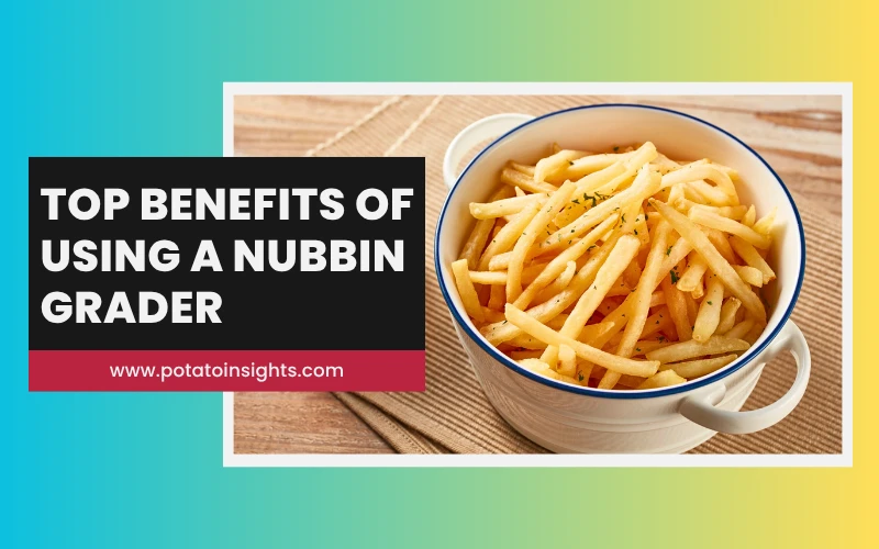 Top Benefits of Using a Nubbin Grader for Potatoes French Fries