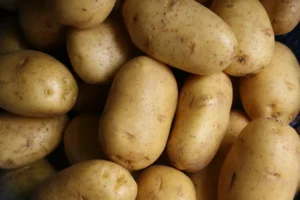 New Potato Storage Site Opens in West Kazakhstan