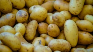 Scientists in Punjab, Pakistan, Developed Smog-Tolerant Potatoes
