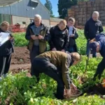 UK Potato Growers Set for Packed Conference in Dundee