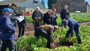 UK Potato Growers Set for Packed Conference in Dundee
