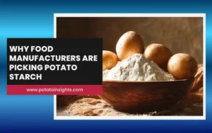 Why Food Manufacturers Are Picking Potato Starch