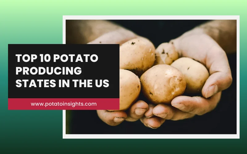 Top 10 Highest Potato Producing States in the US
