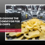 How to Choose the Right Conveyor for Potato Chips