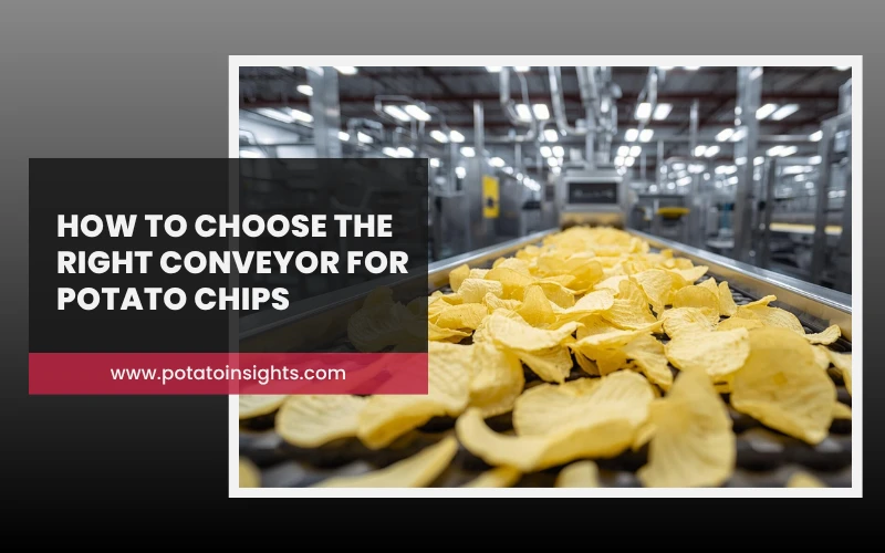 How to Choose the Right Conveyor for Potato Chips