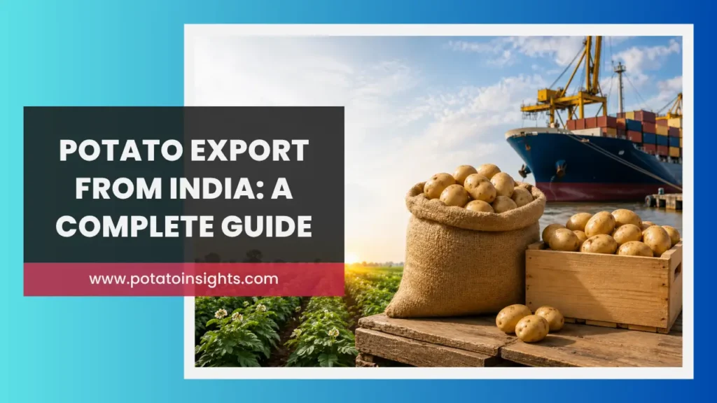 Potato Export from India A Complete Guide