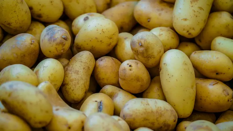 Potato Varieties for Export