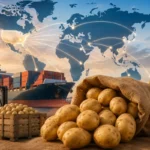 Top Countries Importing American Potatoes