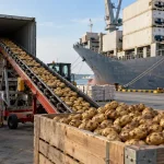 Europe Faces Potato Shortage: Which Countries Can Fill the Supply Gap?