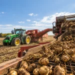 Wisconsin Potato Industry - Production, Processing and Market Outlook