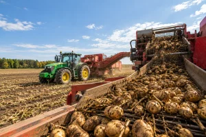 Wisconsin Potato Industry - Production, Processing and Market Outlook