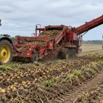 Rising Diesel Prices Could Raise U.S. Potato Harvest Costs in 2026